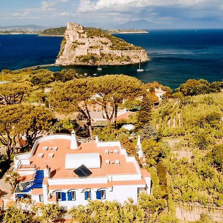 Villa Livia Ischia Extérieur photo